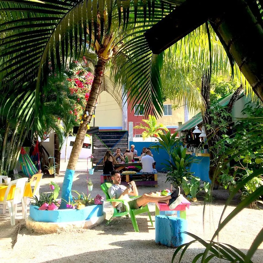 Beds Friends Hostel Cozumel Mexico